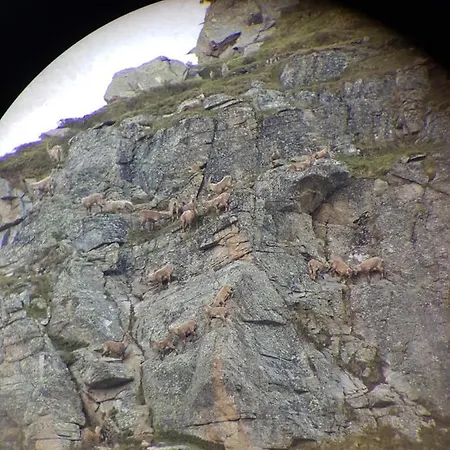 Apartman Larein Galtür